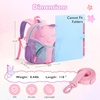 image:imagemommore Toddler Backpack for Boys 24 Small Cute Dinosaur Backpack with Kids Leash 3D Cartoon Preschool Kindergarten Bookbag for Prek GreenPurple Butterfly